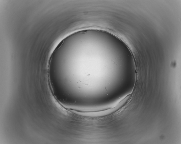 X0000096141532200802011159
