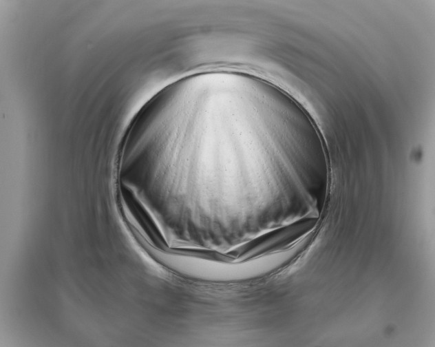 X0000096141533200802011159