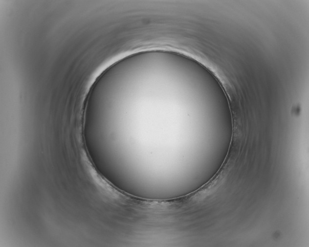 X0000096141534200802011159