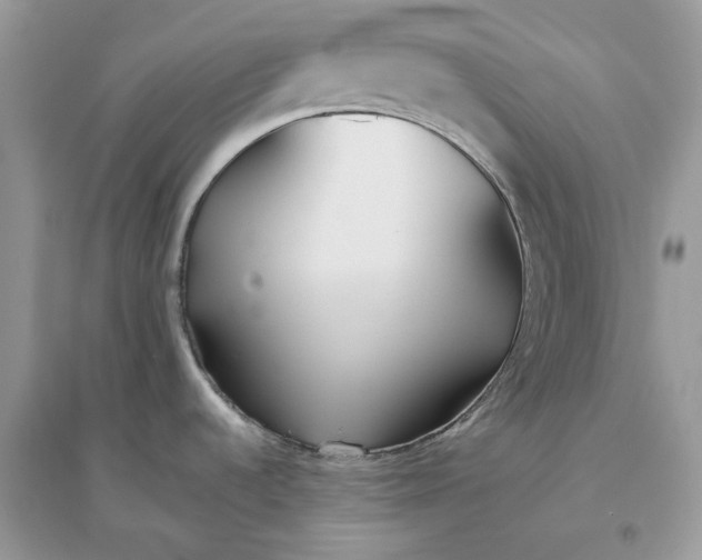 X0000096141536200802011159