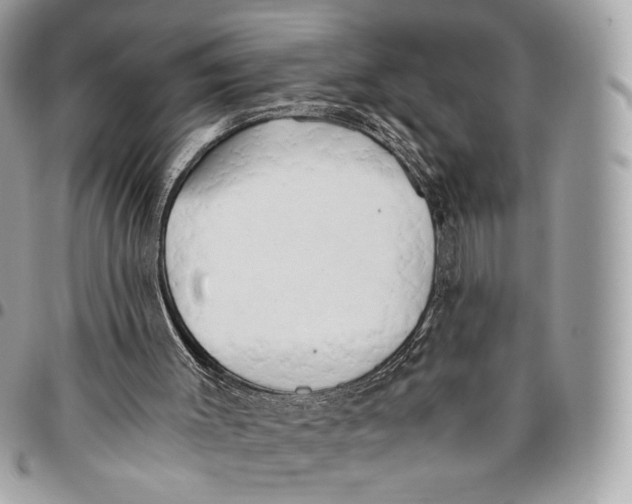 X0000096140003200802081359