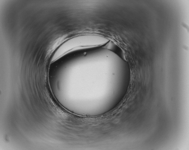 X0000096140005200802081359