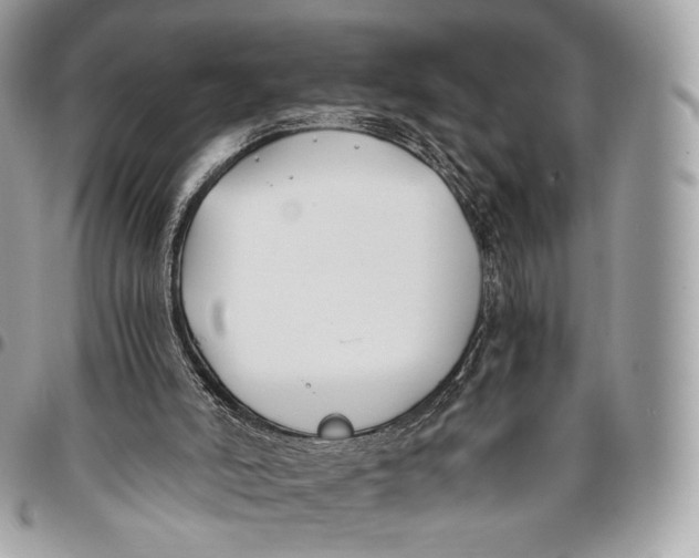 X0000096140006200802081359