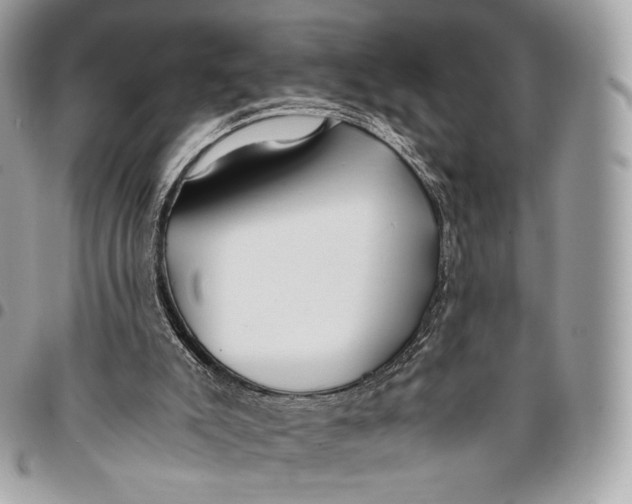 X0000096140007200802081359