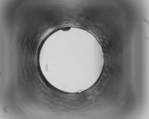 X0000096140008200802081359