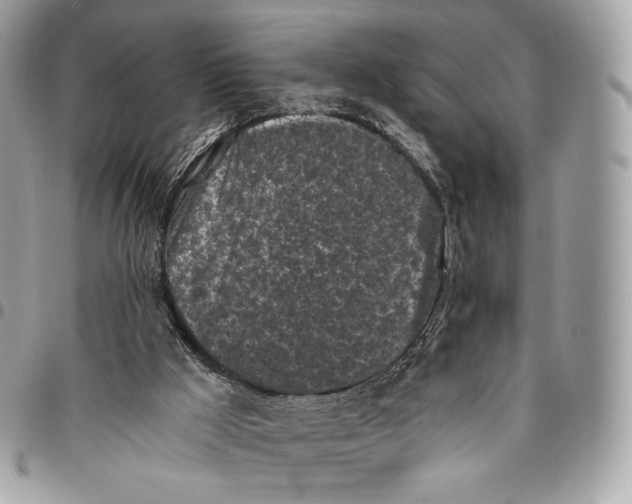 X0000096140009200802081359