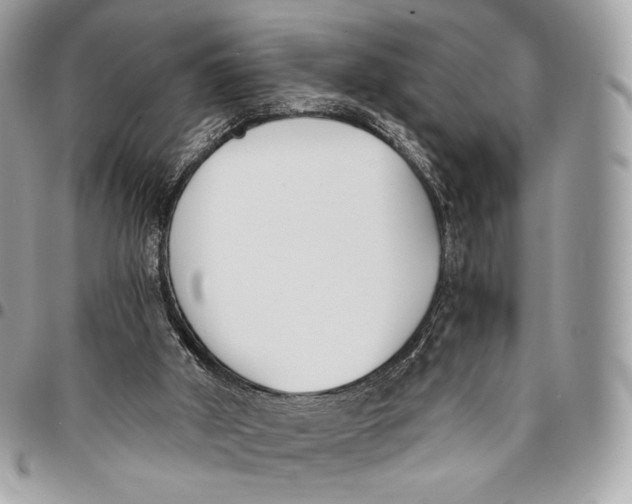 X0000096140010200802081359