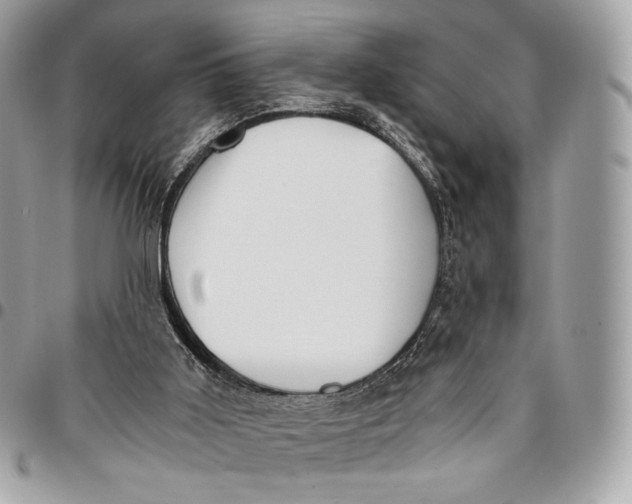 X0000096140011200802081359