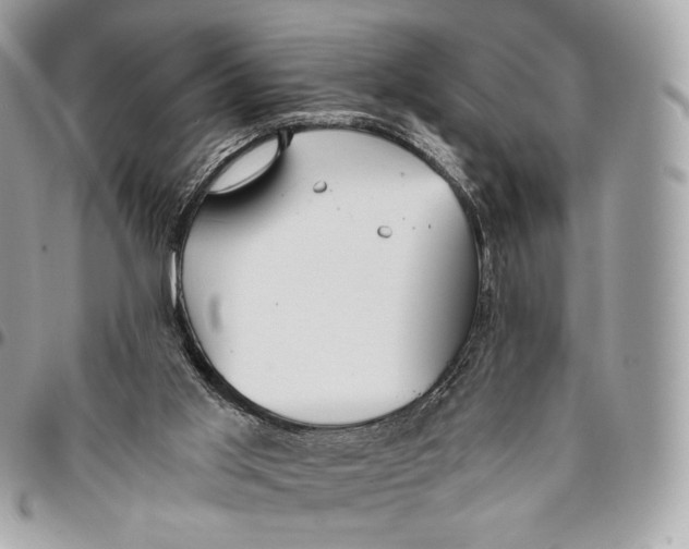 X0000096140013200802081358
