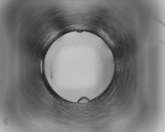 X0000096140014200802081358