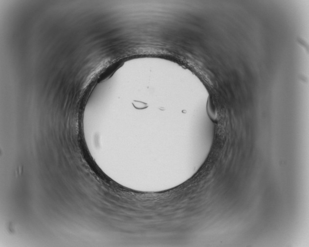 X0000096140015200802081358