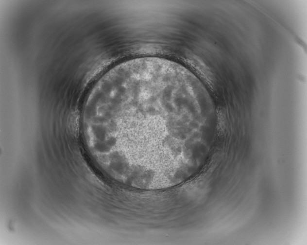 X0000096140016200802081358