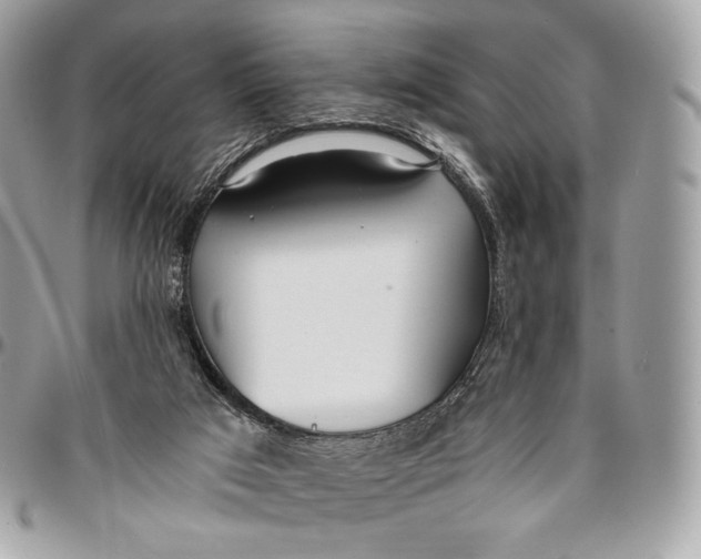 X0000096140017200802081358