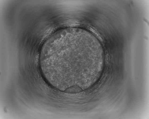 X0000096140018200802081358
