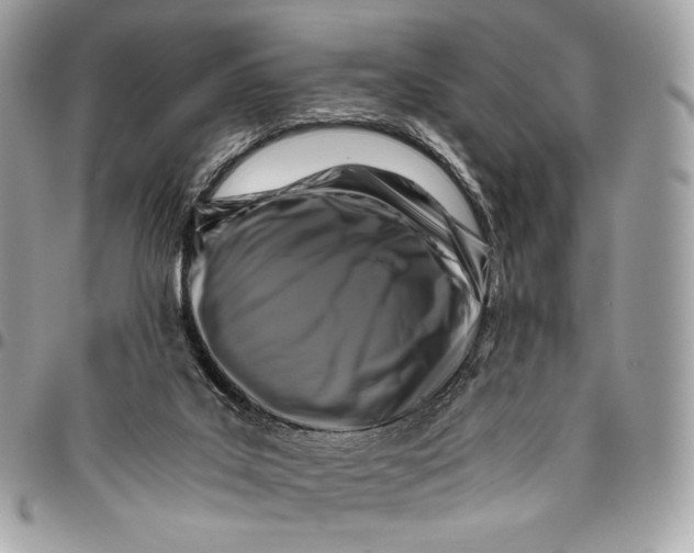 X0000096140019200802081358