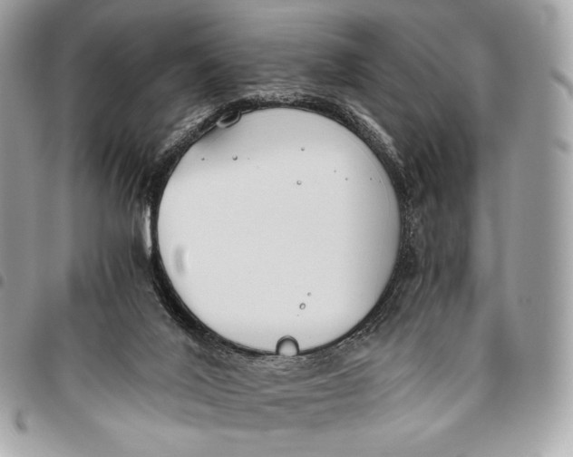 X0000096140020200802081358
