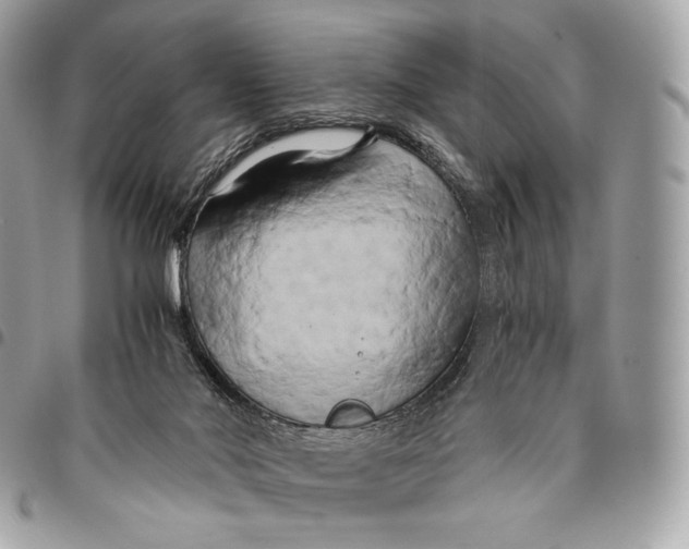 X0000096140022200802081358