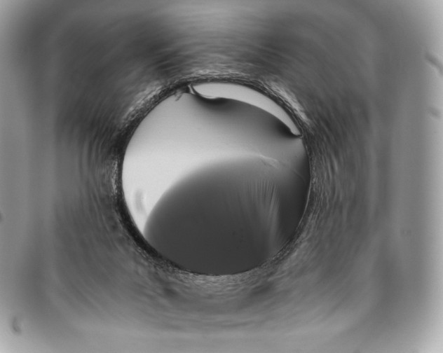 X0000096140023200802081358