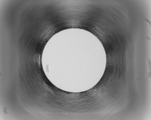 X0000096140024200802081358