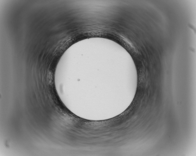 X0000096140025200802081358