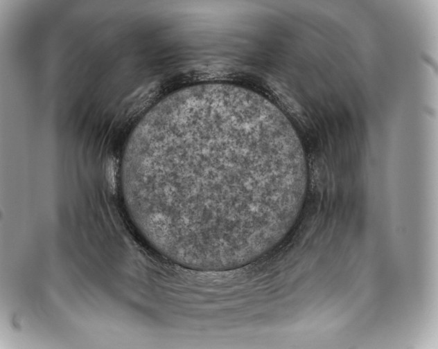 X0000096140026200802081358