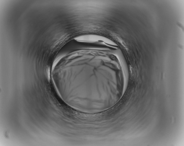 X0000096140027200802081358