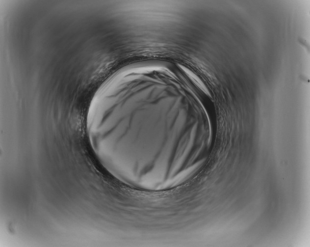 X0000096140031200802081358