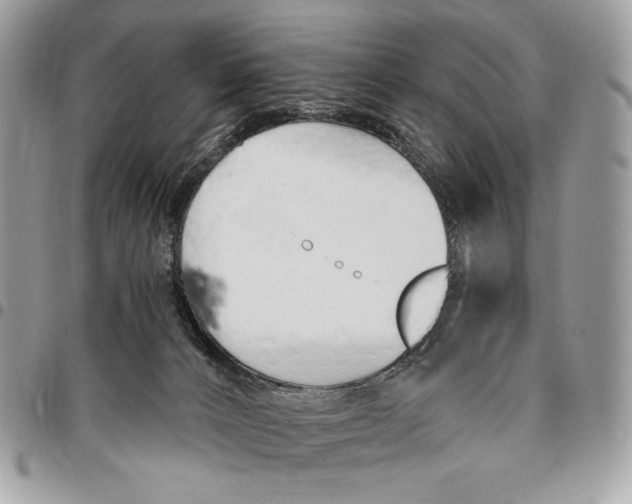 X0000096140032200802081358