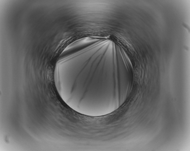 X0000096140035200802081358