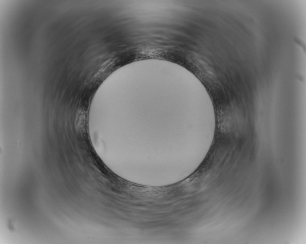 X0000096140036200802081358