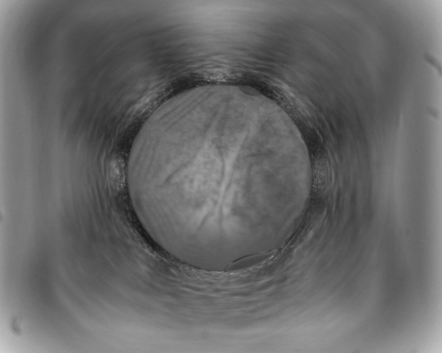 X0000096140043200802081358
