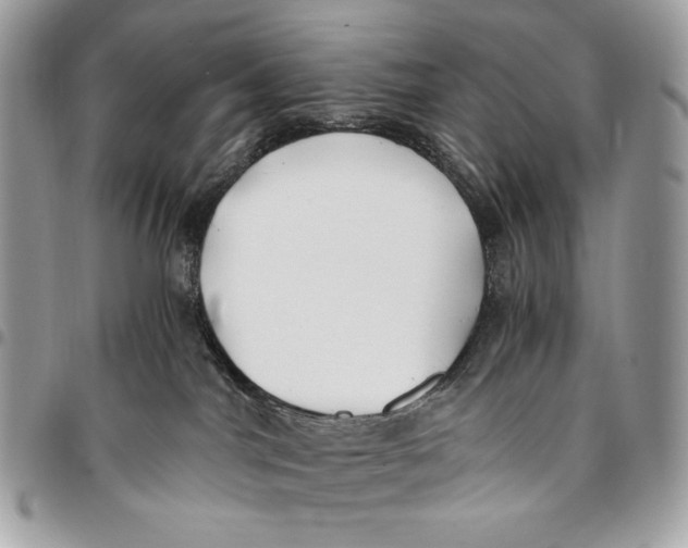 X0000096140044200802081358