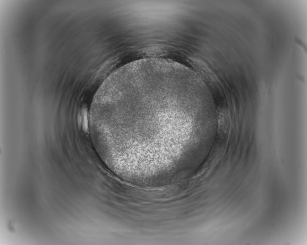 X0000096140046200802081358