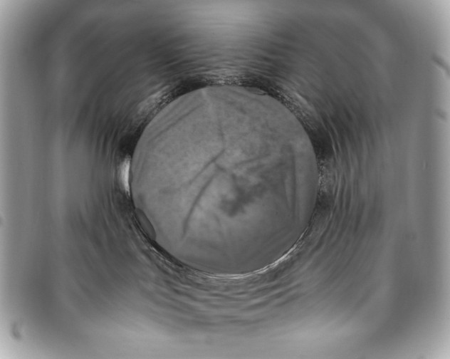 X0000096140047200802081358