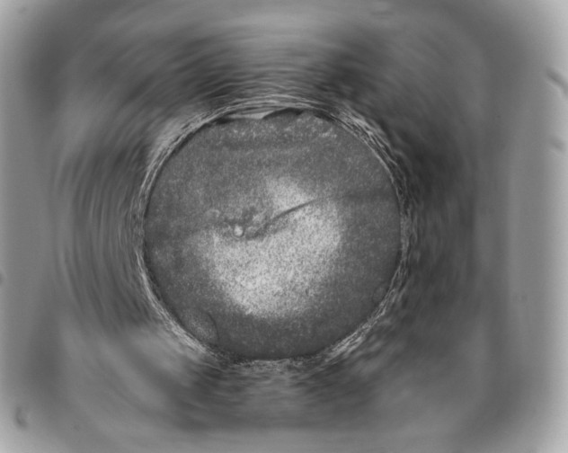 X0000096140049200802081357