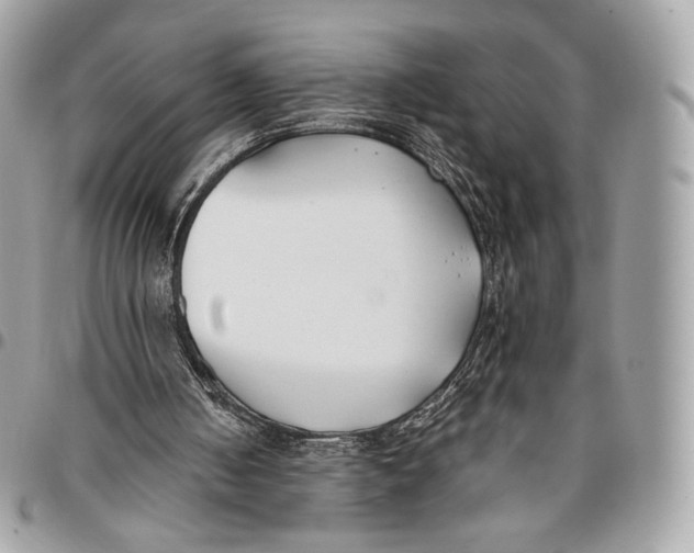 X0000096140050200802081357