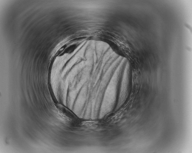 X0000096140051200802081357