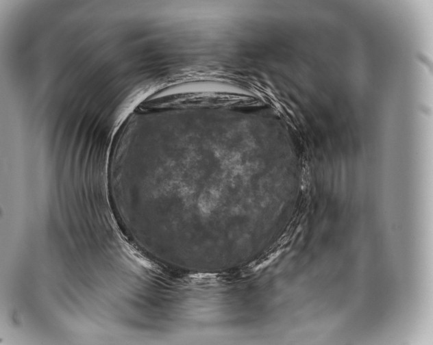 X0000096140052200802081357