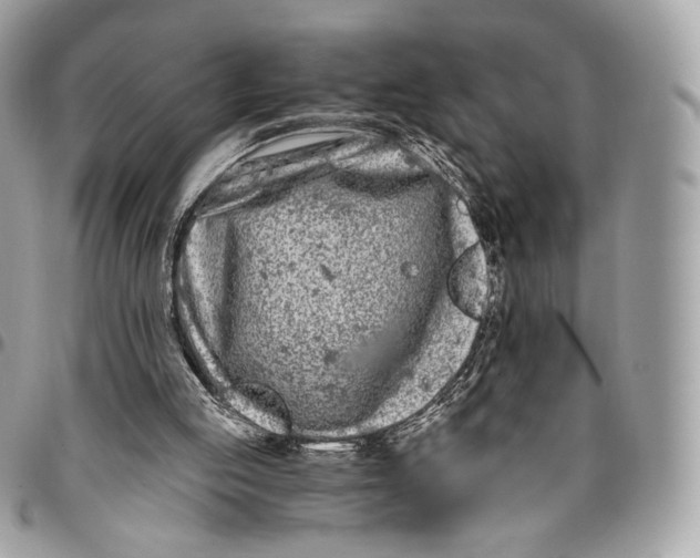 X0000096140053200802081357