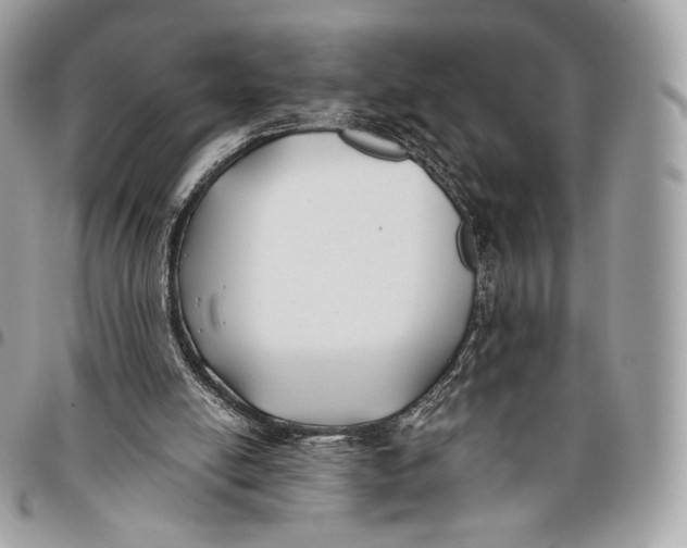 X0000096140054200802081357