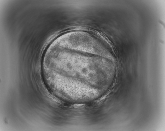 X0000096140055200802081357