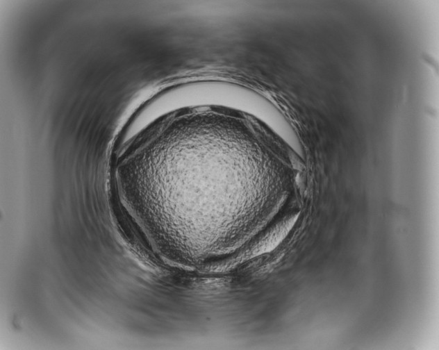 X0000096140056200802081357