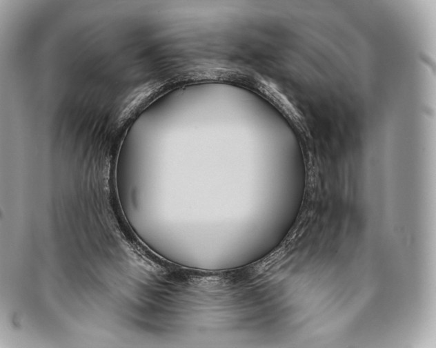 X0000096140058200802081357