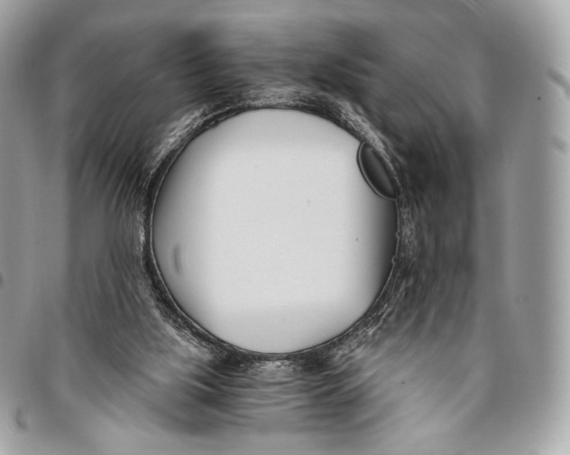 X0000096140059200802081357