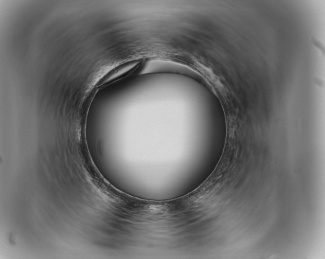 X0000096140060200802081357