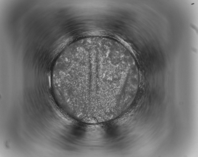 X0000096140061200802081357