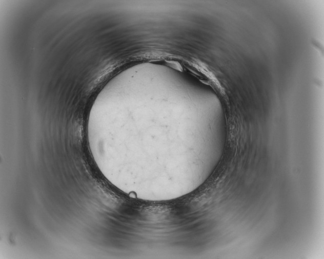 X0000096140063200802081357