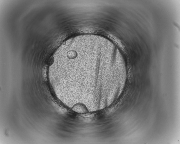 X0000096140065200802081357