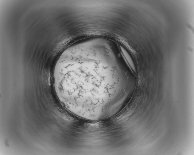 X0000096140068200802081357
