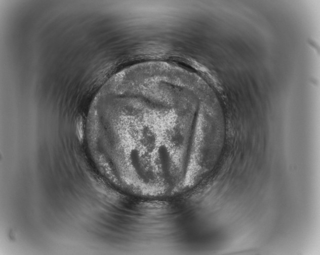 X0000096140069200802081357
